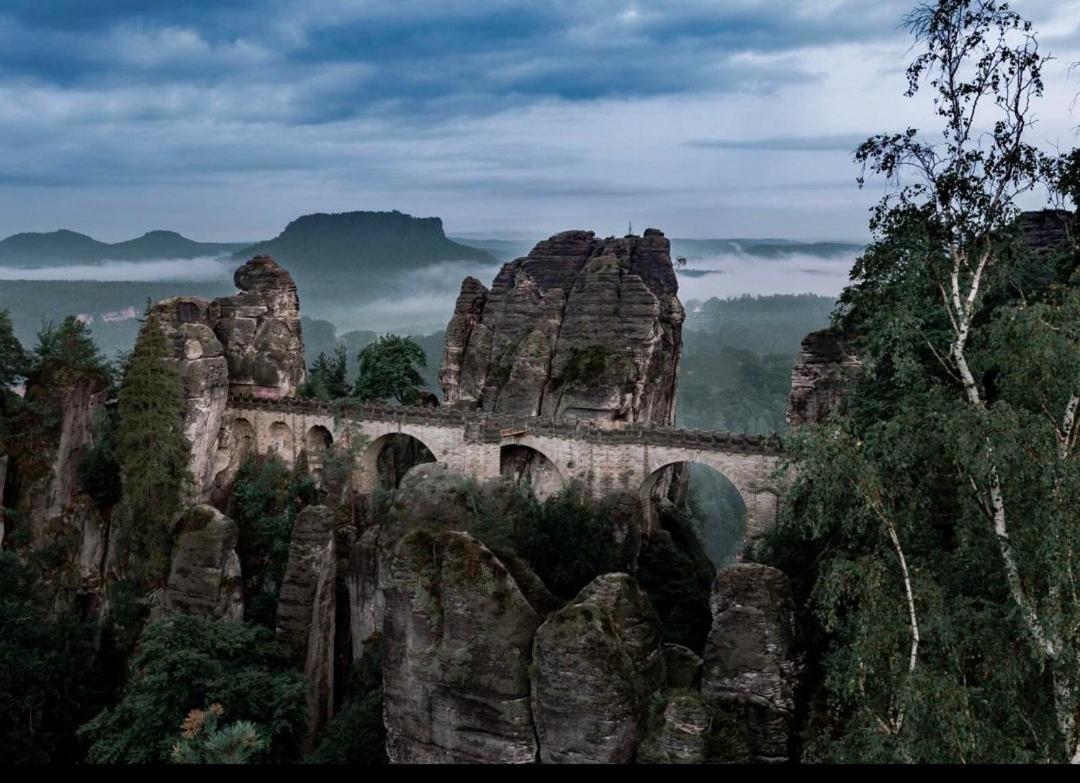 Ferienwohnung Weisses Ross Pirna Oda fotoğraf